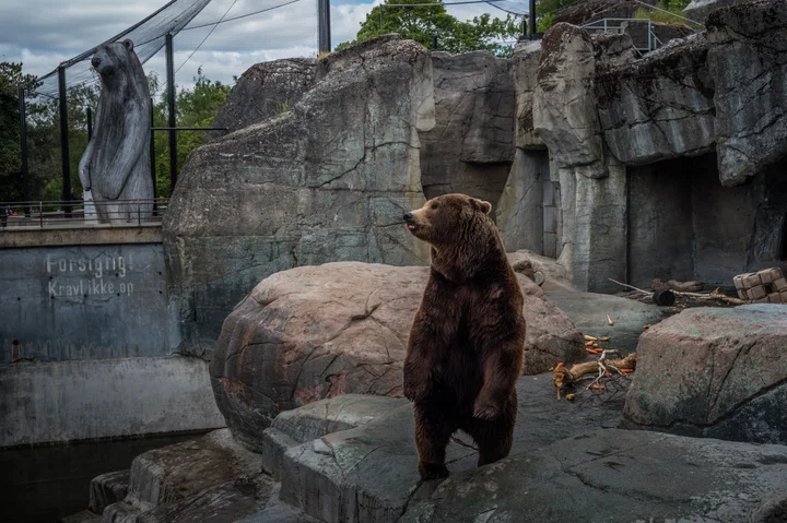 These Images Of Zoo Animals Will Make You See Captivity Differently | HuffPost Life These Images Of Zoo Animals Will Make You See Captivity Differently | HuffPost Life