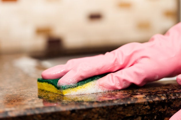 Sponges have a high surface area, are capable of trapping small particles of food and other nutrients, and they tend to be wet.