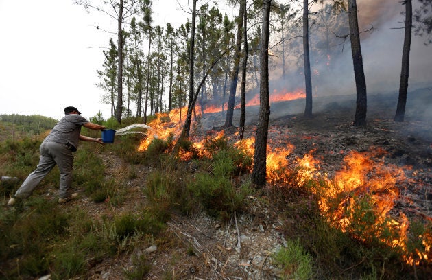 The owner of a farm fights against the active front of a forest fire near Agueda, Portugal Aug. 12, 2016.