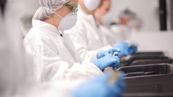 Canada Can Be A World Leader In Medical