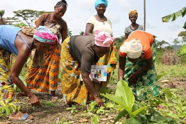 The mothers' support group in Bendu Sandor community, Kono district, was set up two years ago to, in part, to help improve the community's food supply.