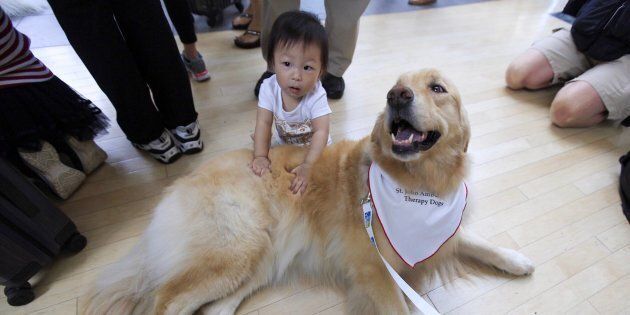 Vancouver International Airport and St. John Ambulance has introduced a therapy dog program.