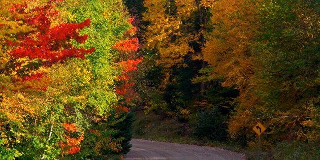 Fall colours along Highway 2 through Parc national du Mont Tremblant in Quebec.