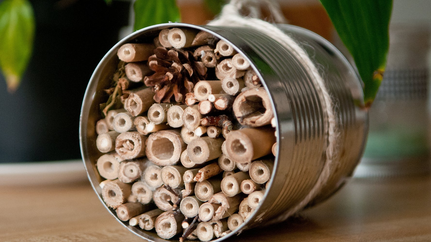 Bee Our Guest How To Build A Bee Hotel HuffPost Life