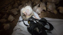 I Spent A Night Exposing What Really Goes On In A Factory