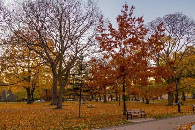 Queen's Park in Toronto in the fall.