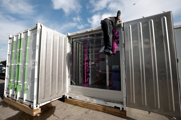 Shipping containers repurposed as a hydroponic farm in Brooklyn, NY.