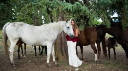 We Should Be Especially Horrified By Horses'