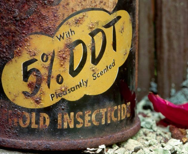 Rust eats away an old can from a pesticide containing DDT, a dangerous toxin.