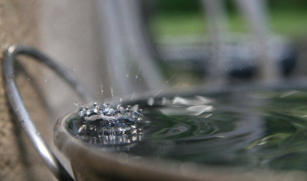 Buckets of standing water are breeding grounds for mosquitoes.