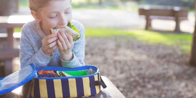 Lunchboxes could contain deadly bacteria