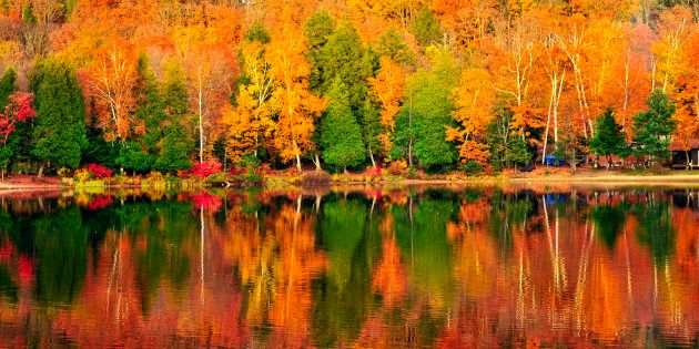 Forest of colorful autumn trees reflecting in calm lake