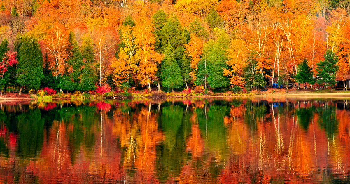 7 Road Trips Near Toronto To Take In All The Fall Colours | HuffPost Life
