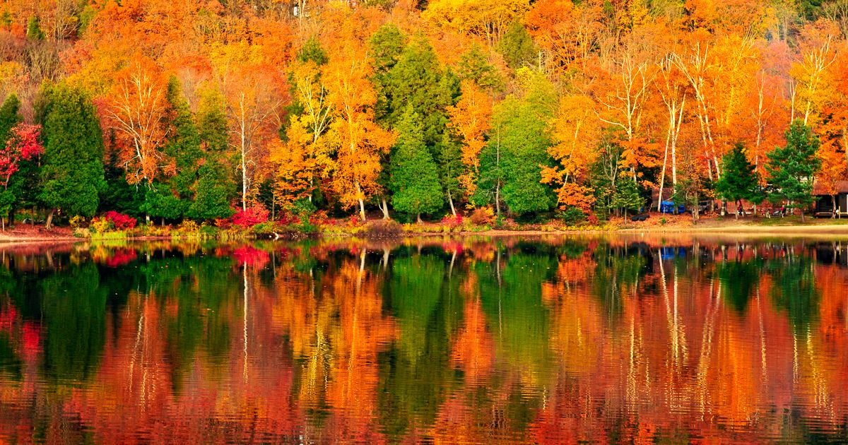 fall color tours from toronto