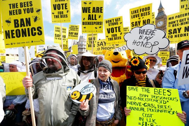 Designer Vivienne Westwood (C), and a person in a Winnie The Pooh costume join campaigners protesting in Parliament Square to urge Britain's government to ban the use of pesticides containing neonicotinoids, in central London, April 26, 2013.