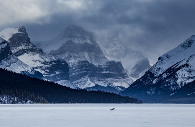 The majestic mountains of Banff,
