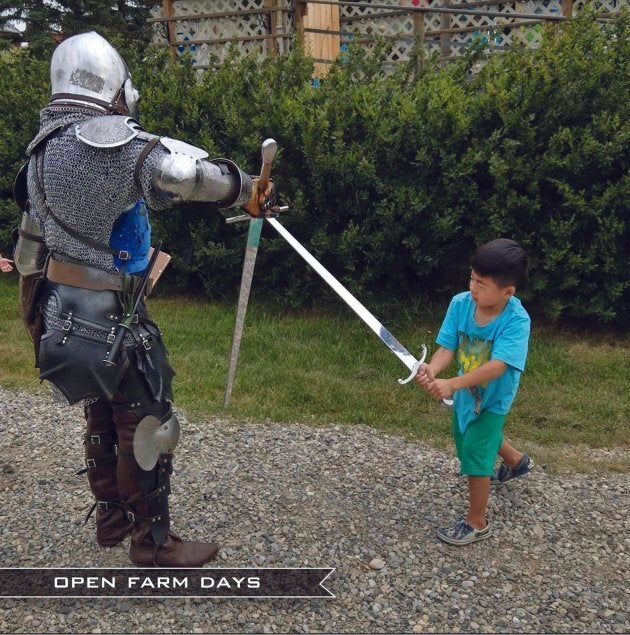 A child fighting a knight during an open farm day at the Good Knights Medieval Encampment near Three Hills, Alta.