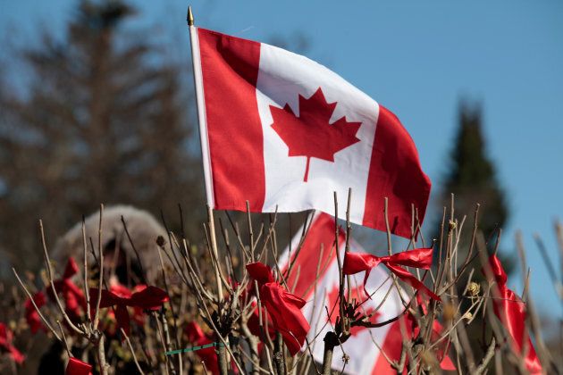 A Canadian flag flies on a Rose of Sharon tree as a tribute honoring the 516 Canadian troops who lost their lives in the Korean War (1950-1953) ahead of Remembrance Day at the Rose of Sharon Garden in James Gardens in Toronto.