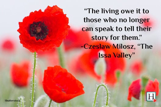 Remembrance Day Quotes: Words To Honour Veterans