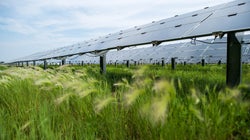 New Technology Needs Government Support. Solar Energy's No
