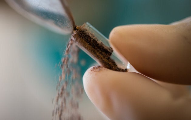 A midwife prepares a placenta for encapsulation in her Washington, DC home on Friday, July 25, 2014.