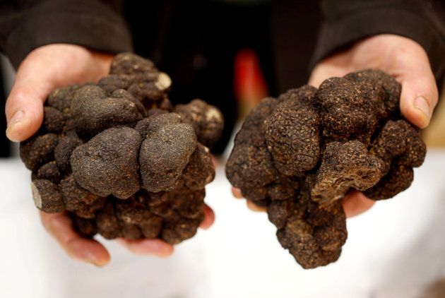 Truffle farmer holds black truffles at a truffle market in Sainte-Alvere, France on Dec. 18, 2017.