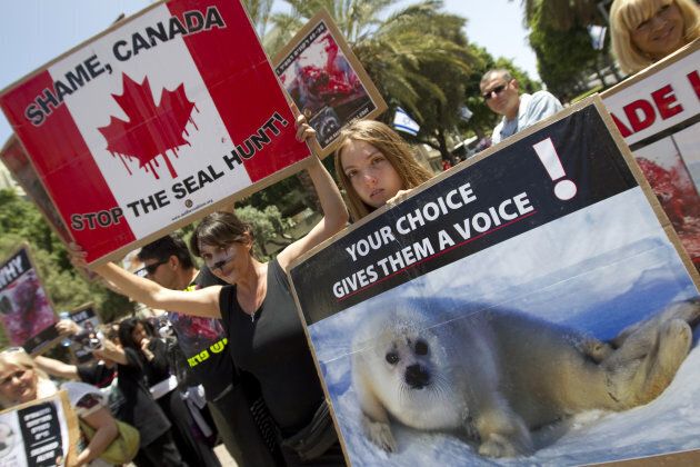 Israeli anti-fur activists hold banners during a rally against the exploitation of seals on April 27, 2012.