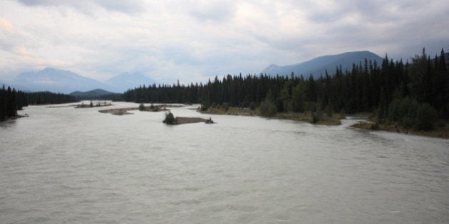 Athabasca River, Jasper National Park, AB