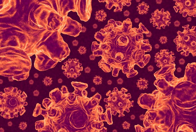 3D illustration of the influenza virus.