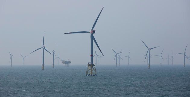 Wind turbines are pictured in the north sea near Helgoland, Germany in 2015.