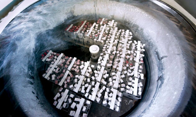 Frozen embryos and eggs in nitrogen-cooled container.