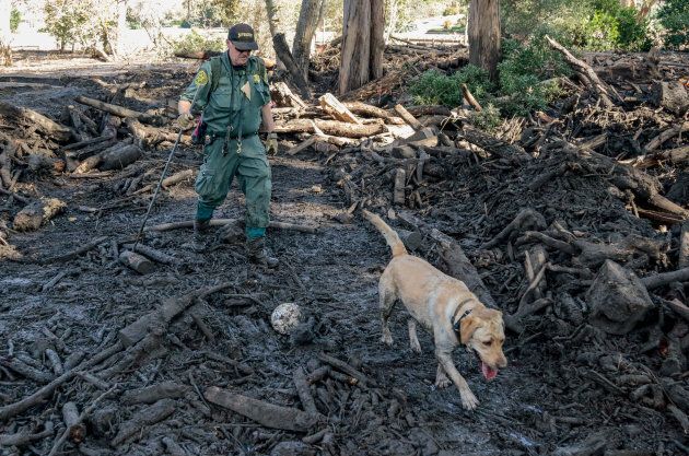 A search and rescue dog is guided through properties after a mudslide in Montecito, Cali,