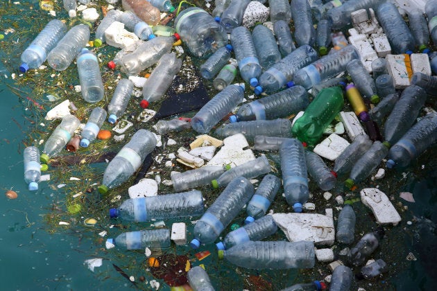 Marine pollution, mainly made up of plastic bottles and polystyrene, floating in Hinnavaru Harbour, Maldives, Indian Ocean.