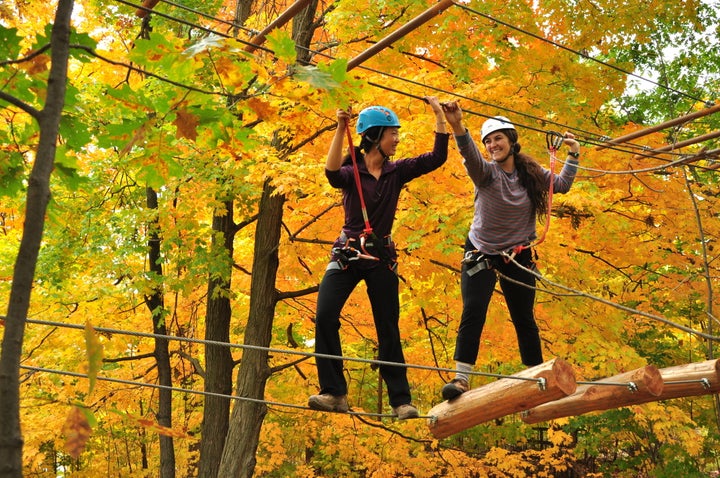 Treetop Trekking, Brampton