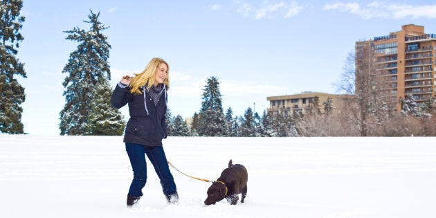 A woman with a dog outside in the snow. A solid majority of Canadians believes landlords should have the right to evict tenants with animals.