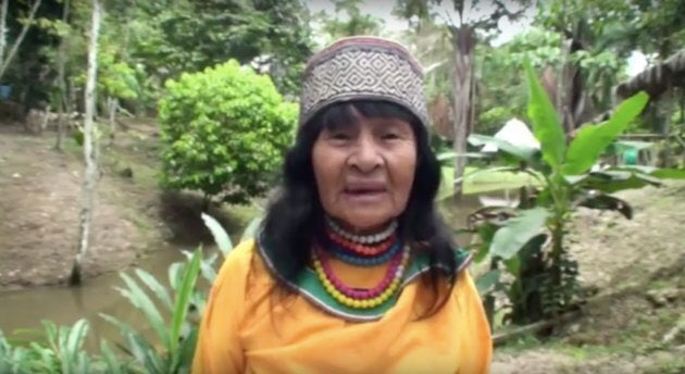 Olivia Arevalo, an 81-year-old traditional healer of the Shipibo-Conibo tribe, died of gunshot wounds near her home in the Amazonian region of Ucayali on Thursday.