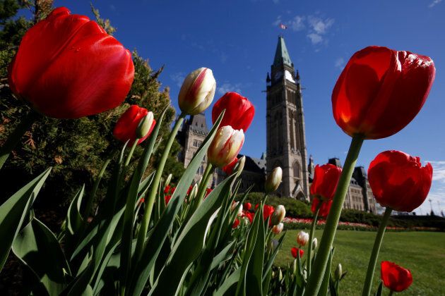 Tulips frame the Peace Tower on Parliament Hill in Ottawa, on May 14, 2018.