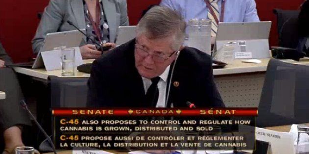 Conservative Sen. Don Plett asked Liberal MP Bill Blair to explain to a Senate committee on May 28, 2018 how the government can prepare Canadians for an expected spike in U.S. border agents asking travellers about their marijuana use.