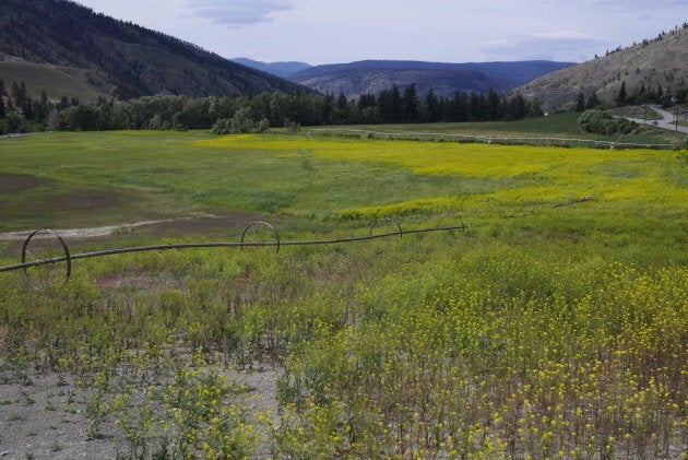 Much of the High Bar First Nation's traditional territory is now owned by ranchers. This ranch was photographed just outside Clinton, B.C., along Highway 97.