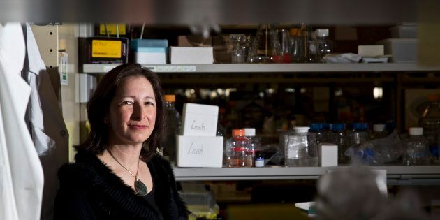 University of Toronto scientist Molly Shoichet poses for a photo on March 2, 2015.
