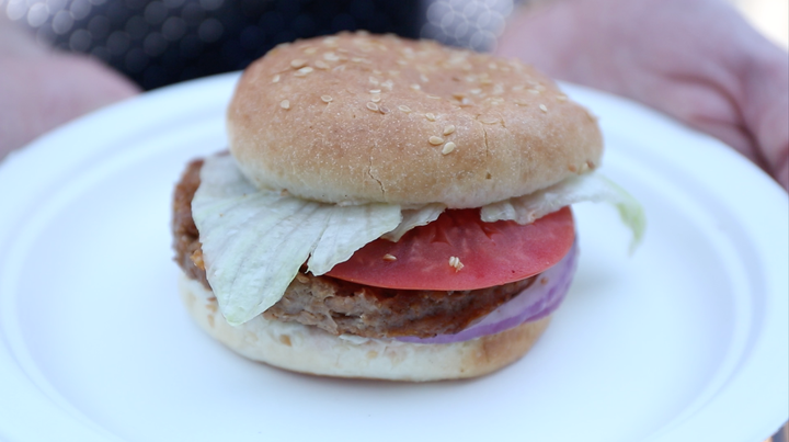 The vegan burger in its whole form. Not shown: fries and gravy.