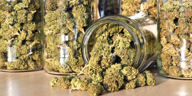 A 2017 survey of pediatricians found that more than half have encountered young patients who have used medical marijuana.