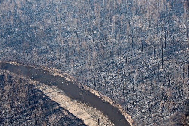 An aerial view of the burnt forest near Fort McMurray, Alta., after wildfires in May 2016.