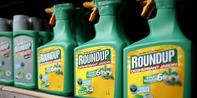 Monsanto's Roundup weedkiller atomizers for sale at a garden shop at Bonneuil-Sur-Marne near Paris, France, June 16, 2015. Monsanto parent company Bayer's shares plunged Monday after a U.S. court ordered Monsanto to pay US$289 million over alleged links to between cancer and a weedkiller.