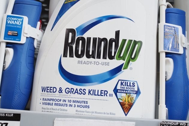 Bottles of Monsanto's Roundup are seen for sale June 19, 2018 at a retail store in Glendale, California.