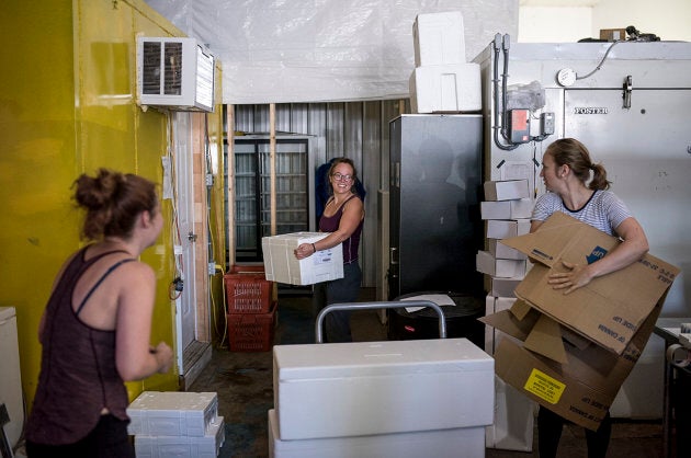 Laurie Starr, centre, laughs while packing and receiving orders with Mikaila Bickford, left, and Hana Nelson at Afishionado Fishmongers in Halifax on July 12, 2018.