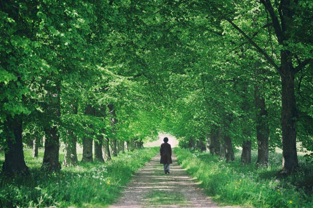 A woman walking on a road through a tree avenue with green leaves.