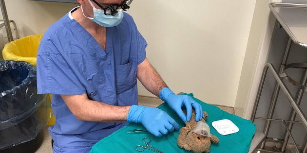 Halifax-based neurosurgeon Daniel McNeely repairs a child's teddy bear while the patient was recovering from surgery.