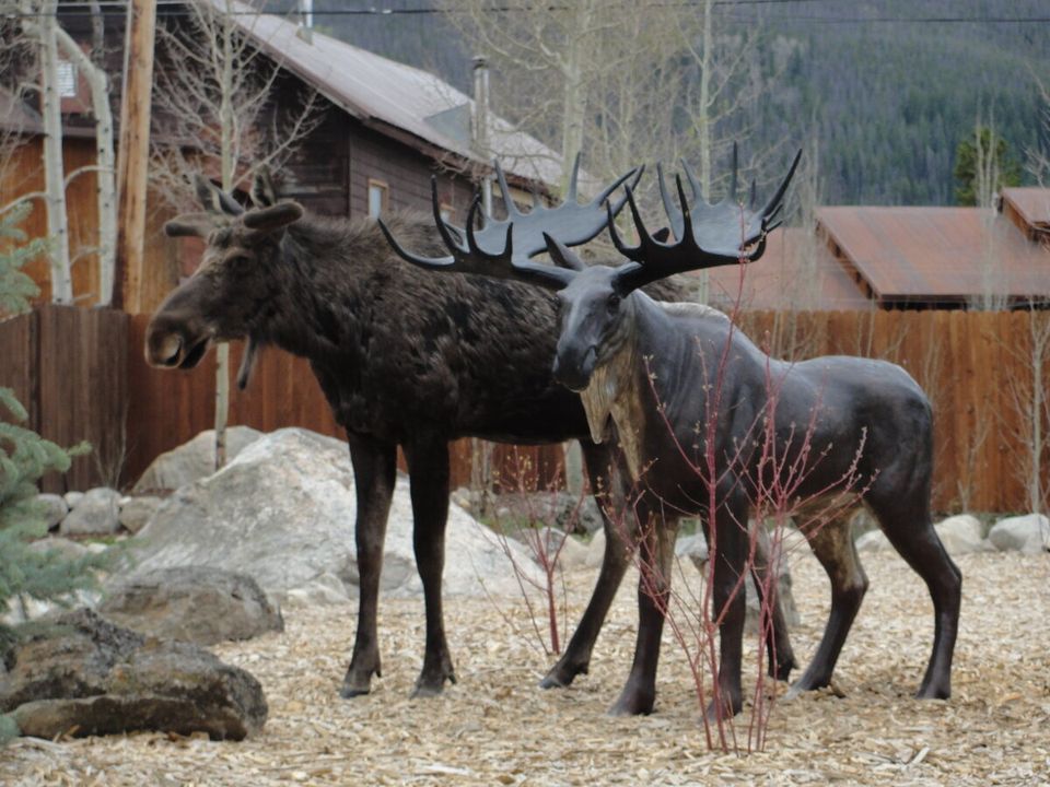 Moose 'Loves' Moose Statue