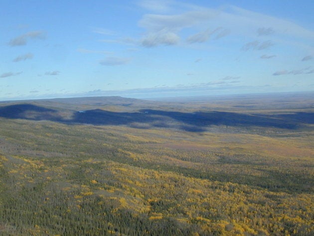 The Edéhzhíe is now a Dehcho Protected Area under Dehcho Law.